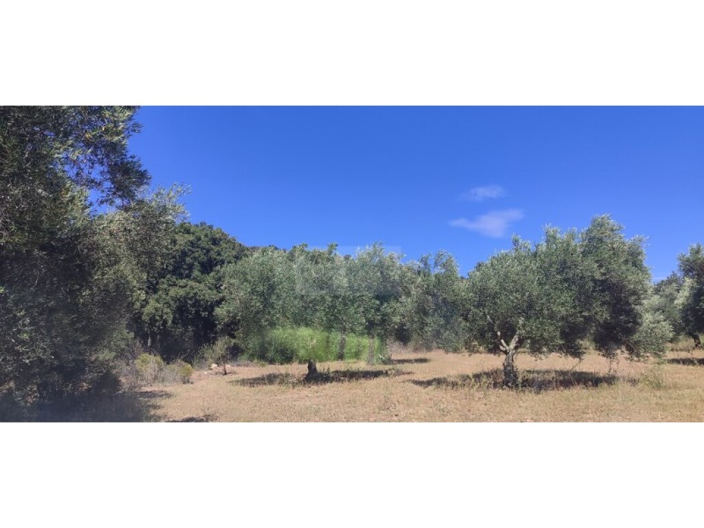 Imagen 4 de Parcela en Venta en Cantallops Girona