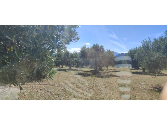 Imagen 1 de Parcela en Venta en Cantallops Girona