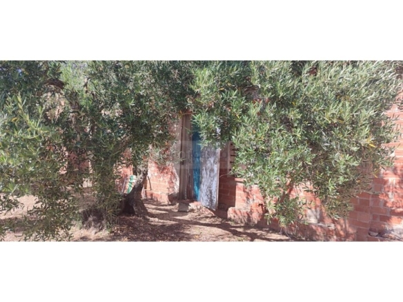 Imagen 2 de Parcela en Venta en Cantallops Girona