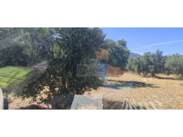 Imagen 1 de Parcela en Venta en Cantallops Girona