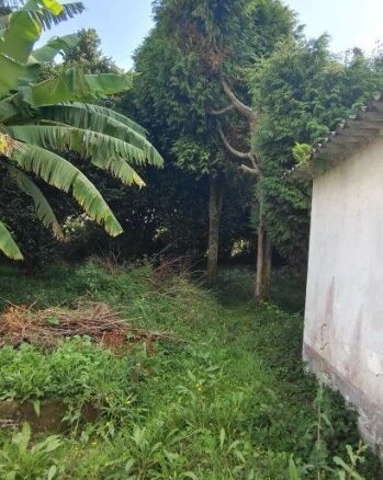 Imagen 4 de Adosada en Venta en Ferrol La Coruña Ref: 437929