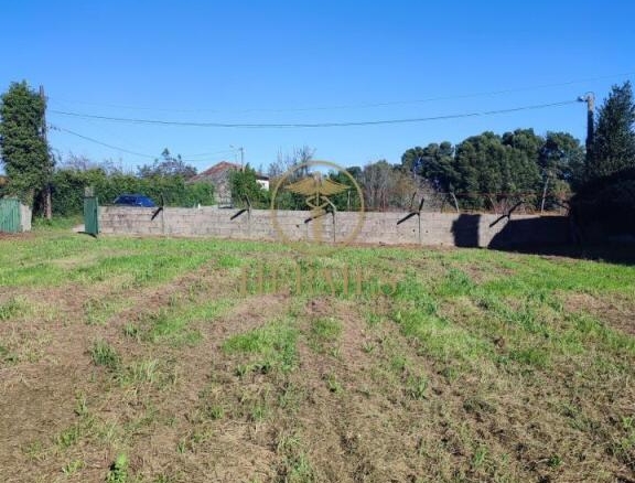 a un paso de Tui centro.