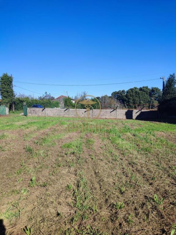 a un paso de Tui centro.