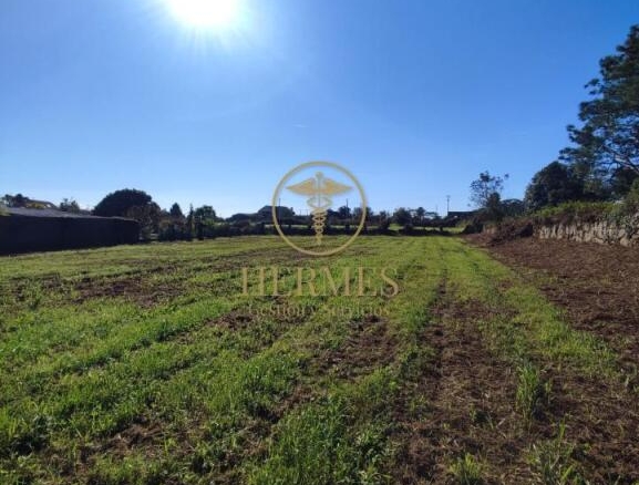 Imagen 1 de Solar en venta