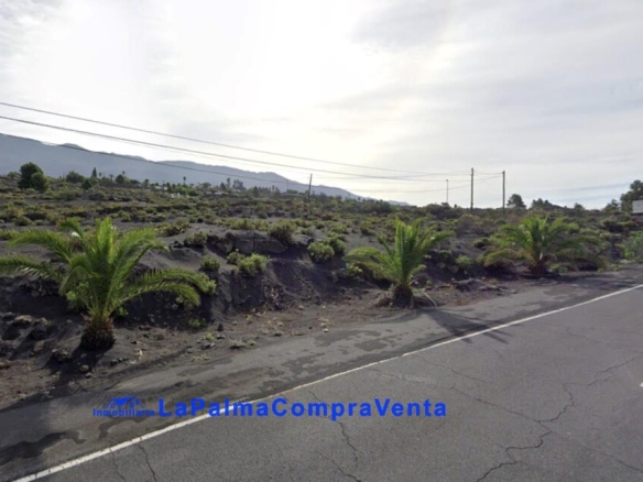 Los Santa Cruz de Tenerife