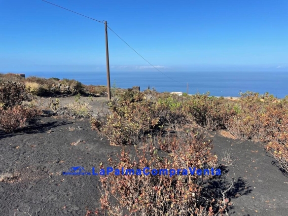 Los Santa Cruz de Tenerife