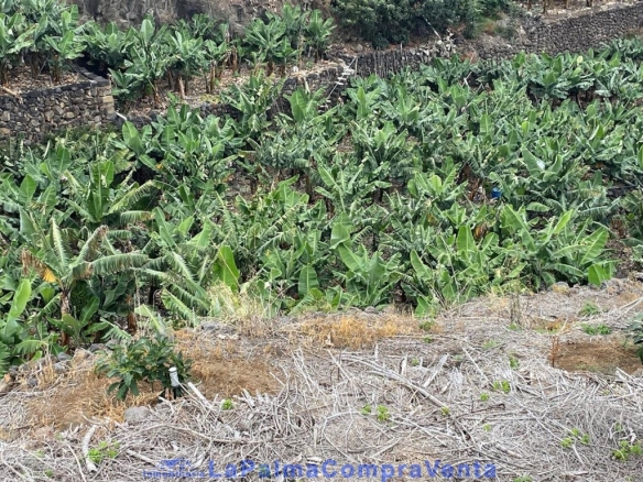 Imagen 2 de Suelo rústico en Venta en San Andres Y Sauces Santa Cruz de Tenerife