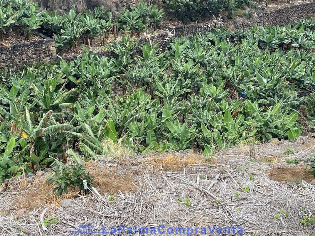 Imagen 2 de Suelo rústico en Venta en San Andres Y Sauces Santa Cruz de Tenerife
