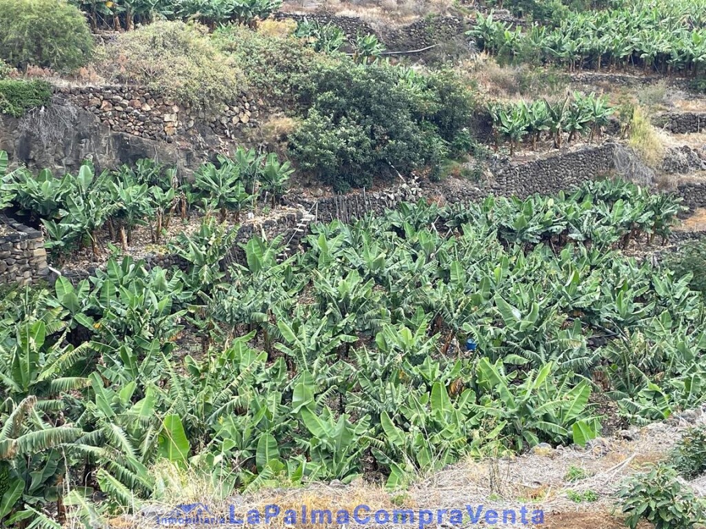 Imagen 3 de Suelo rústico en Venta en San Andres Y Sauces Santa Cruz de Tenerife