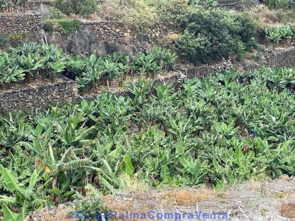 Imagen 4 de Suelo rústico en Venta en San Andres Y Sauces Santa Cruz de Tenerife