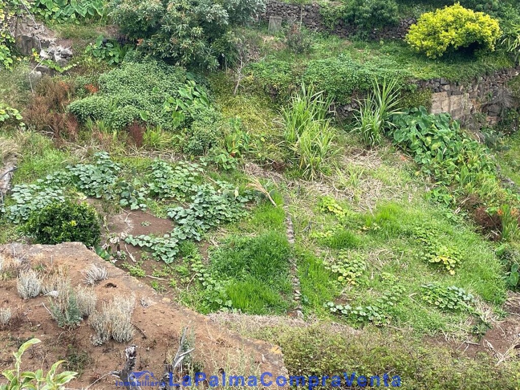 Imagen 2 de Suelo rústico en Venta en San Andres Y Sauces Santa Cruz de Tenerife