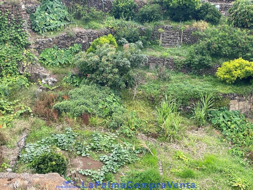 Imagen 3 de Suelo rústico en Venta en San Andres Y Sauces Santa Cruz de Tenerife