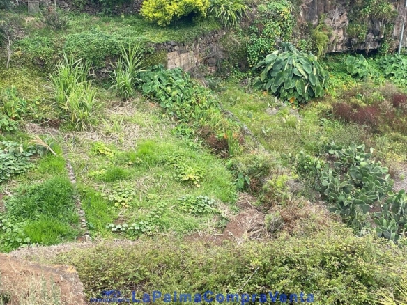 Imagen 4 de Suelo rústico en Venta en San Andres Y Sauces Santa Cruz de Tenerife
