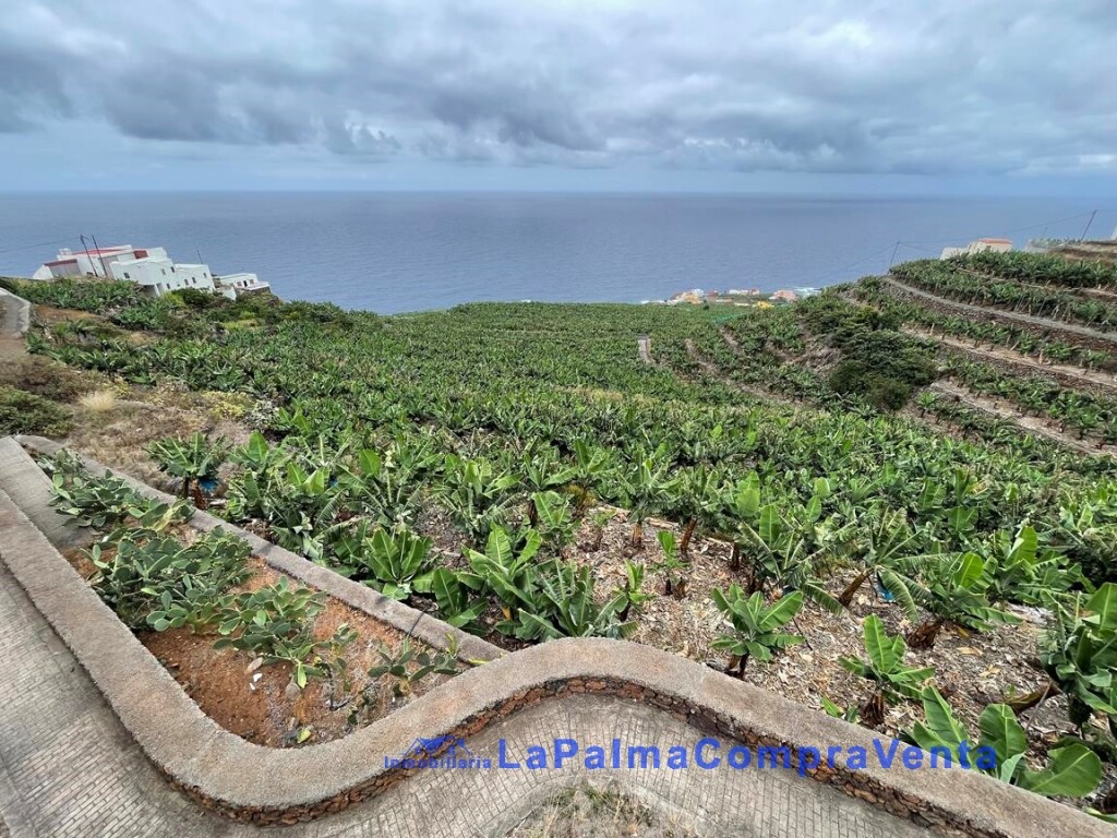Imagen 2 de Suelo rústico en Venta en San Andres Y Sauces Santa Cruz de Tenerife