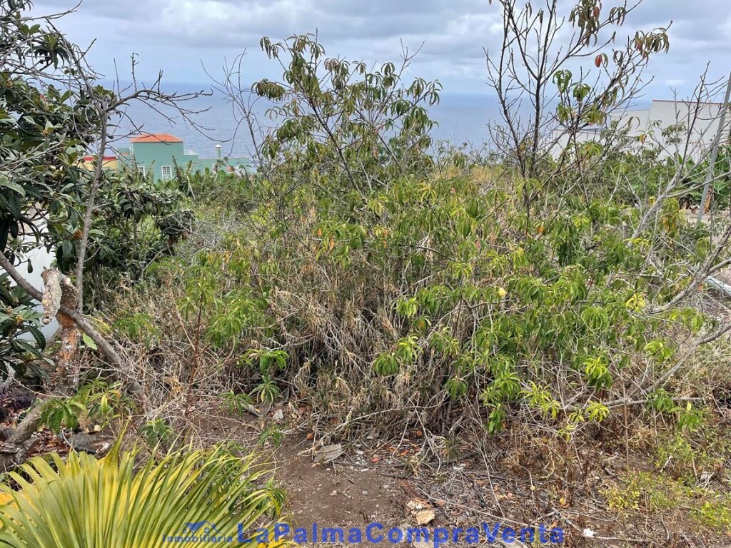 Imagen 4 de Solar urbano en Venta en San Andres Y Sauces Santa Cruz de Tenerife Imagen 4 de Solar urbano en Venta en San Andres Y Sauces Santa Cruz de Tenerife