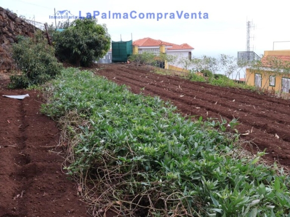 Imagen 4 de Suelo rústico en Venta en Puntallana Santa Cruz de Tenerife