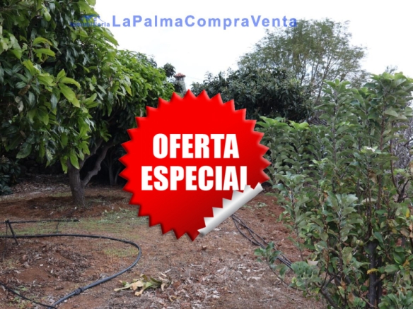 Imagen 1 de Suelo rústico en Venta en Puntallana Santa Cruz de Tenerife