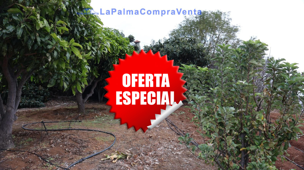 Imagen 1 de Suelo rústico en Venta en Puntallana Santa Cruz de Tenerife - El Club del Propietario Imagen 1 de Suelo rústico en Venta en Puntallana Santa Cruz de Tenerife