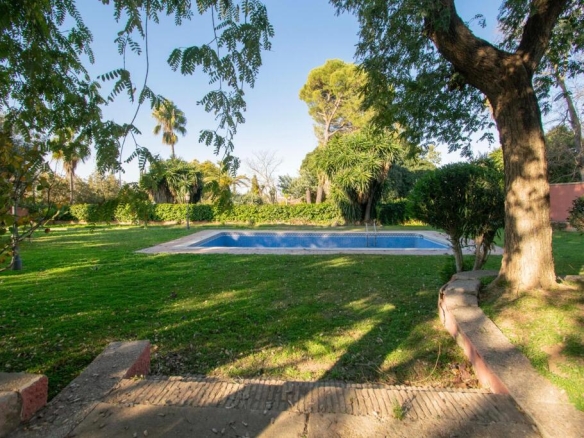 junto Colegio Europa!!!