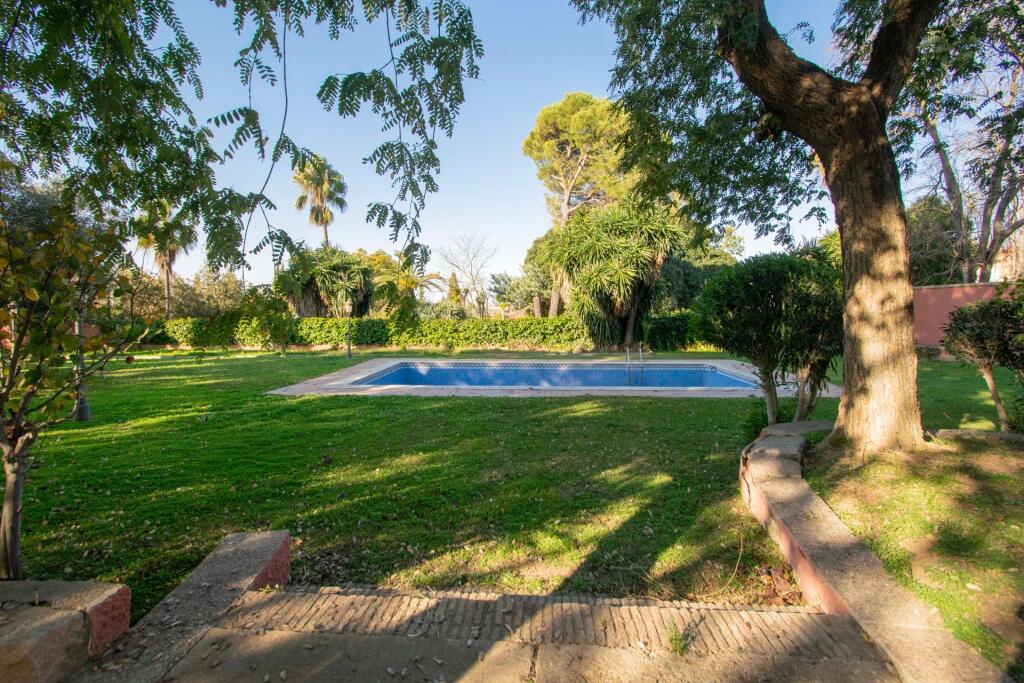 junto Colegio Europa!!! junto Colegio Europa!!!