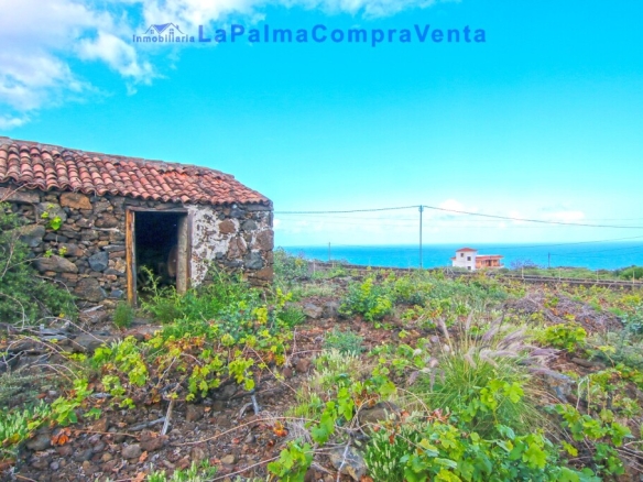 Imagen 4 de Suelo rústico en Venta en Lodero Santa Cruz de Tenerife