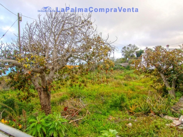 Imagen 4 de Casa de pueblo en Venta en Lomo Oscuro De Abajo Santa Cruz de Tenerife