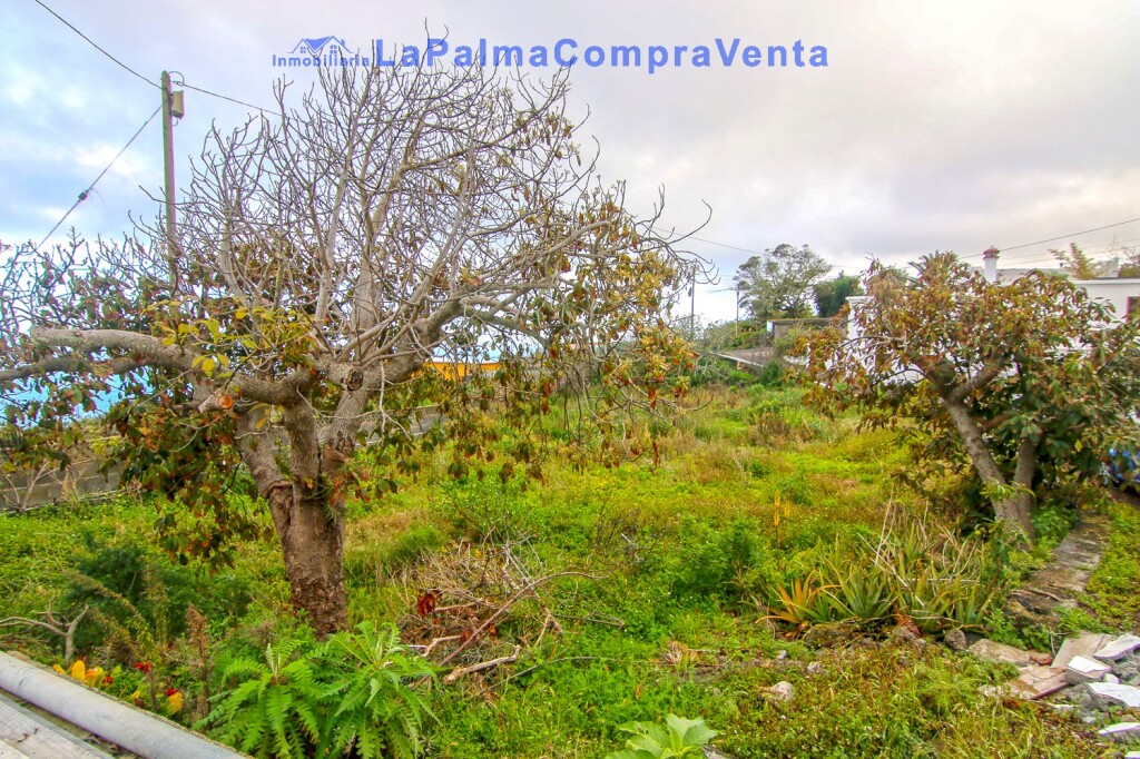 Imagen 4 de Casa de pueblo en Venta en Lomo Oscuro De Abajo Santa Cruz de Tenerife