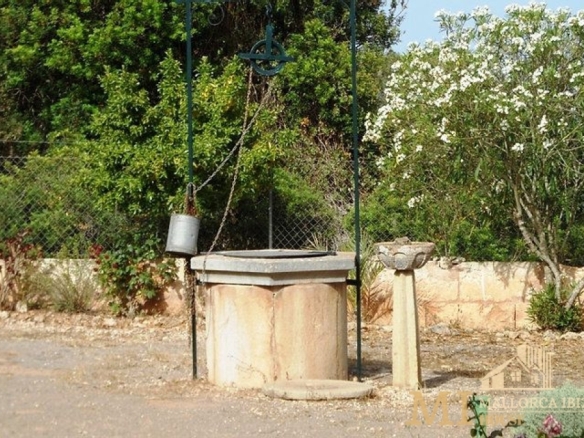 Imagen 2 de Casa de campo-Masía en Venta en Manacor Baleares Ref: 1215