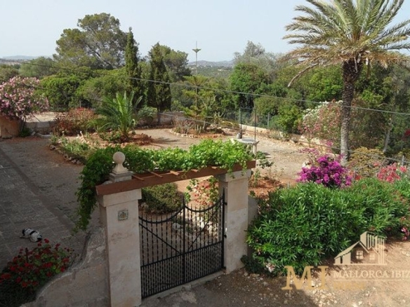Imagen 1 de Casa de campo-Masía en Venta en Manacor Baleares Ref: 1215