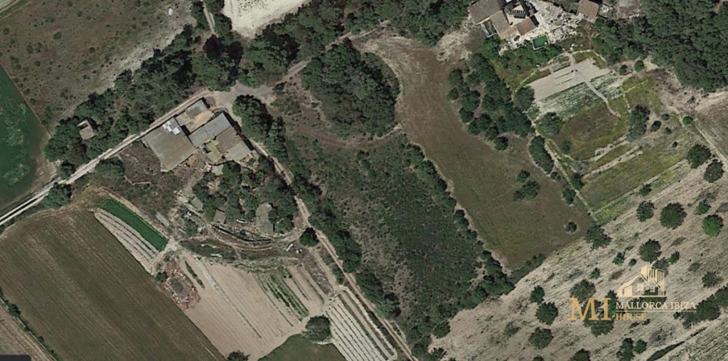 Imagen 2 de Piso en Venta en Porreres Baleares Ref: 69