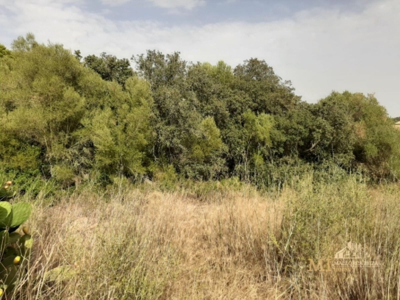 Imagen 3 de Piso en Venta en Porreres Baleares Ref: 69