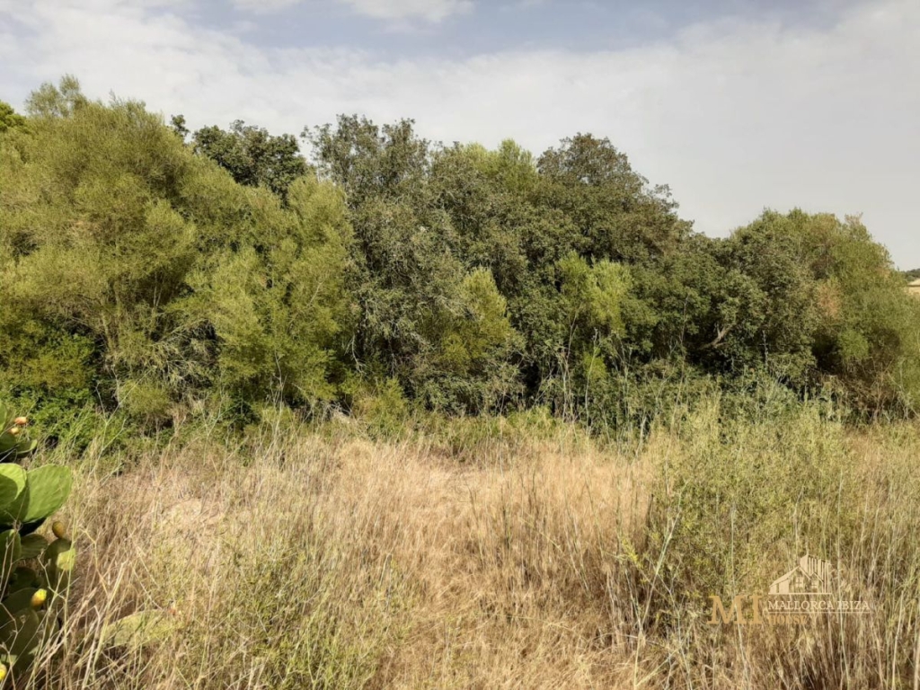 Imagen 3 de Piso en Venta en Porreres Baleares Ref: 69