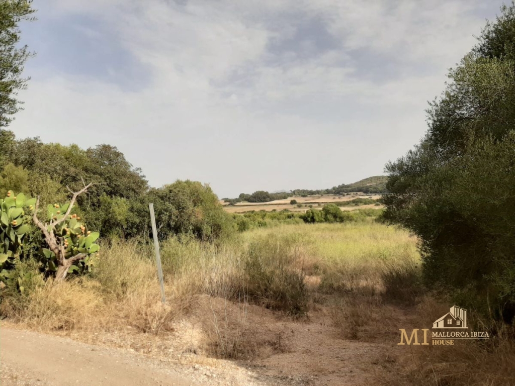 Imagen 4 de Piso en Venta en Porreres Baleares Ref: 69