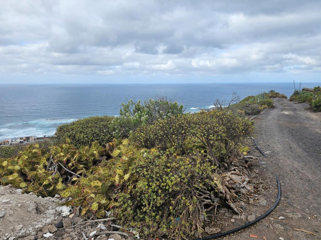 Imagen 1 de FINCA RÚSTICA EN LOMO QUINTANILLA