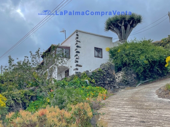 El Santa Cruz de Tenerife