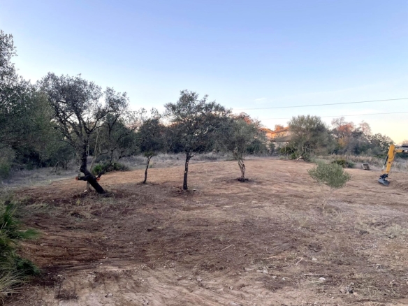 Imagen 2 de Suelo rústico en Venta en Sanlucar La Mayor Sevilla