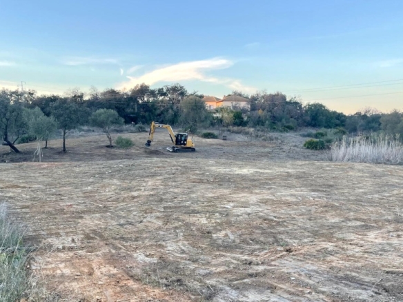 Imagen 3 de Suelo rústico en Venta en Sanlucar La Mayor Sevilla