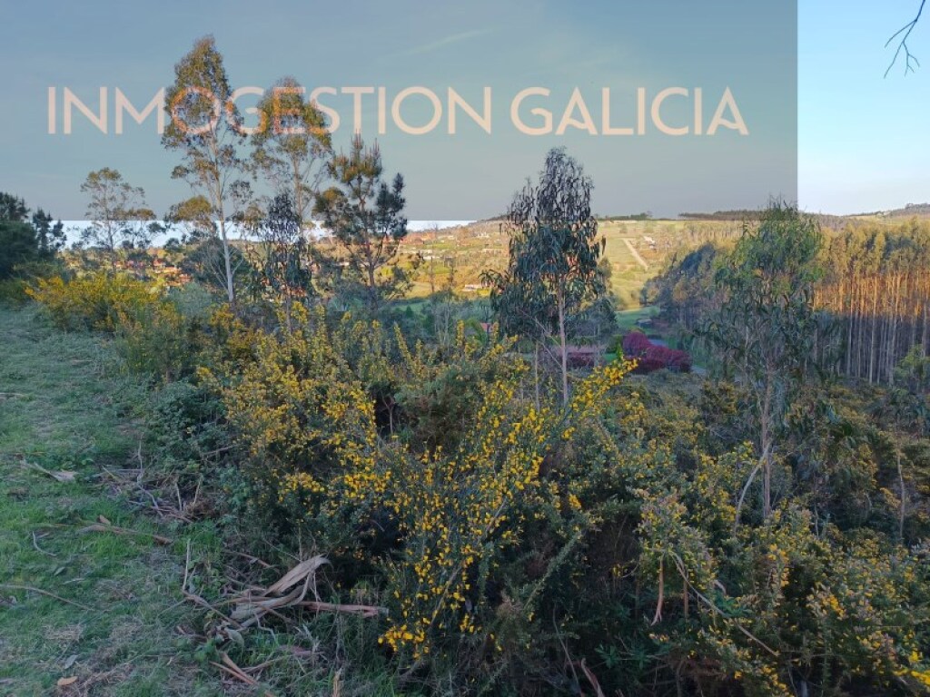 De La Coruña De La Coruña