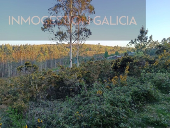 Imagen 1 de Parcela en Venta en Cerceda