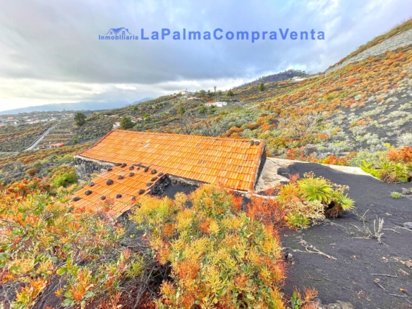 Los Santa Cruz de Tenerife