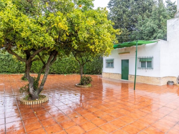 Imagen 2 de Gran chalet de estilo clásico en Urbanización Santiago Apóstol!!!