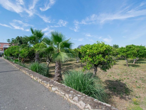 Imagen 3 de ESPECTACULAR FINCA RÚSTICA EN CARRETERA SEVILLA-HUELVA A-8076