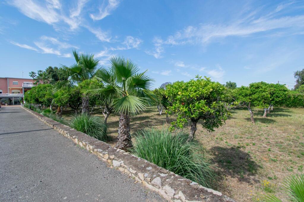 Imagen 3 de ESPECTACULAR FINCA RÚSTICA EN CARRETERA SEVILLA-HUELVA A-8076 Imagen 3 de ESPECTACULAR FINCA RÚSTICA EN CARRETERA SEVILLA-HUELVA A-8076