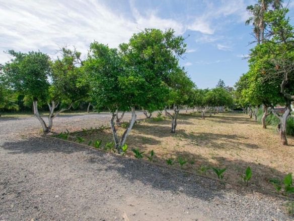 Imagen 4 de ESPECTACULAR FINCA RÚSTICA EN CARRETERA SEVILLA-HUELVA A-8076