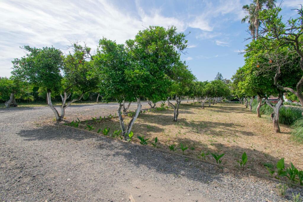 Imagen 4 de ESPECTACULAR FINCA RÚSTICA EN CARRETERA SEVILLA-HUELVA A-8076 Imagen 4 de ESPECTACULAR FINCA RÚSTICA EN CARRETERA SEVILLA-HUELVA A-8076