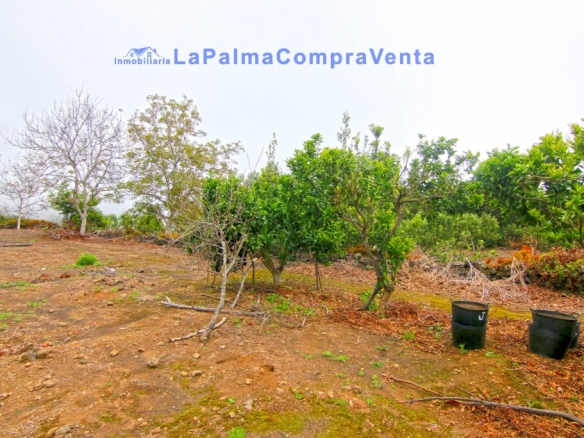 Imagen 3 de Suelo rústico en Venta en Breña Alta Santa Cruz de Tenerife