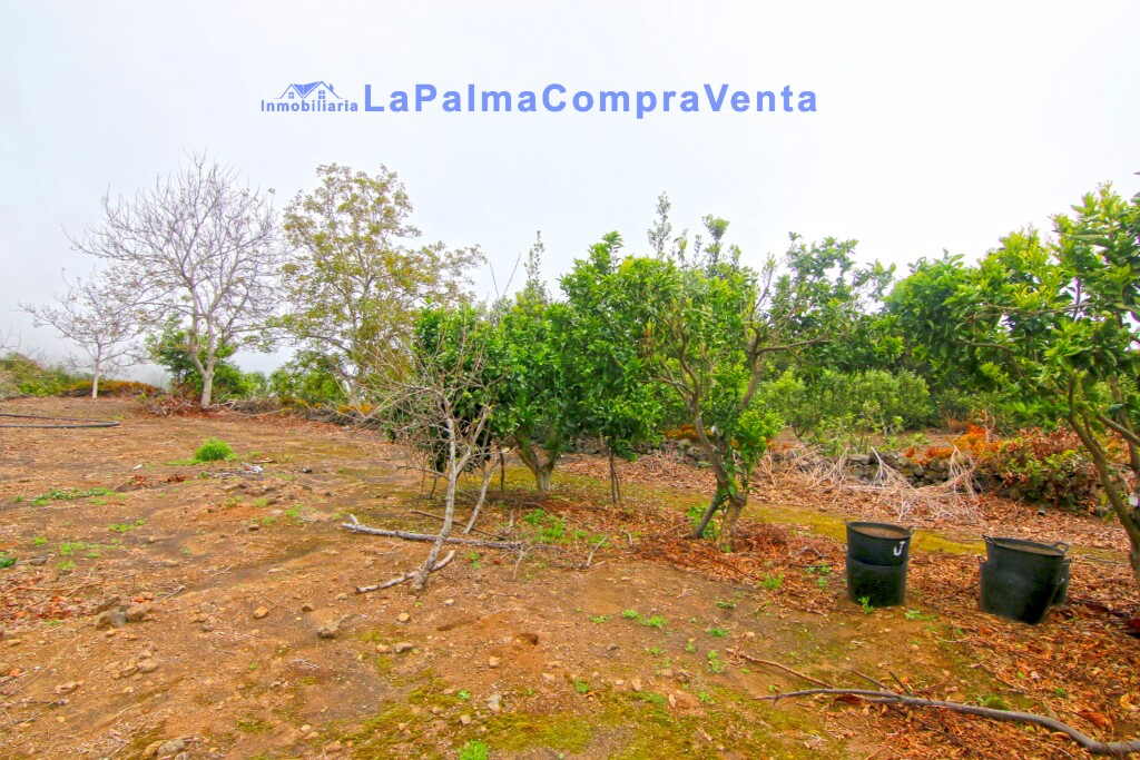 Imagen 3 de Suelo rústico en Venta en Breña Alta Santa Cruz de Tenerife