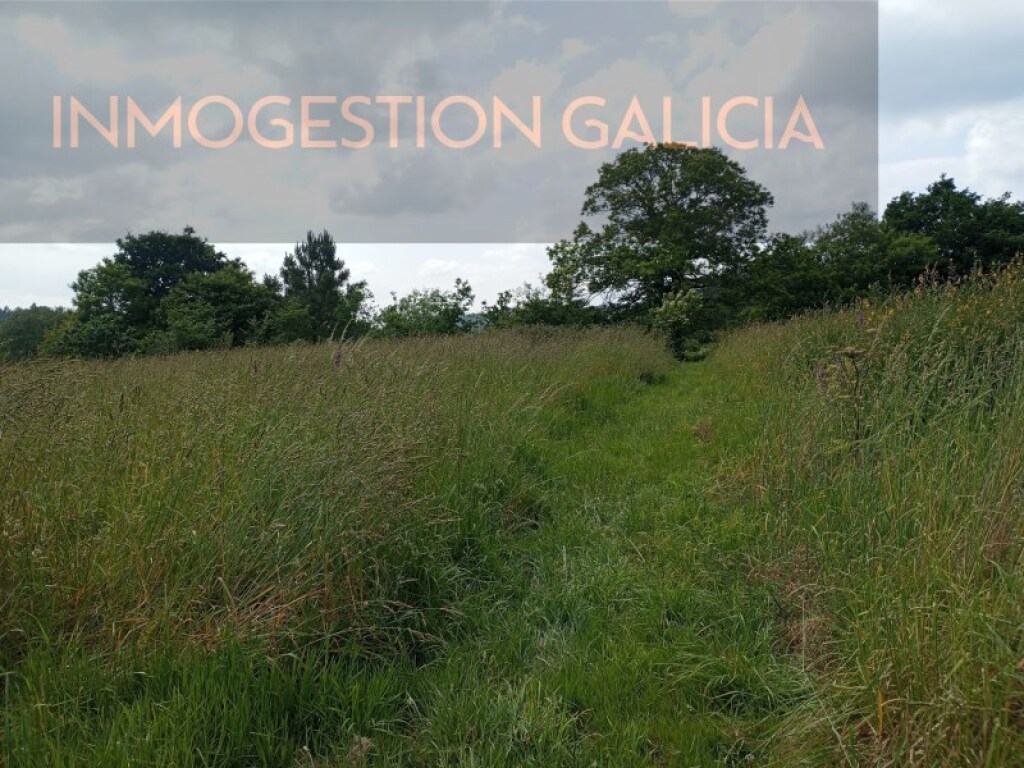 Imagen 2 de Suelo rústico en Venta en A Laracha La Coruña