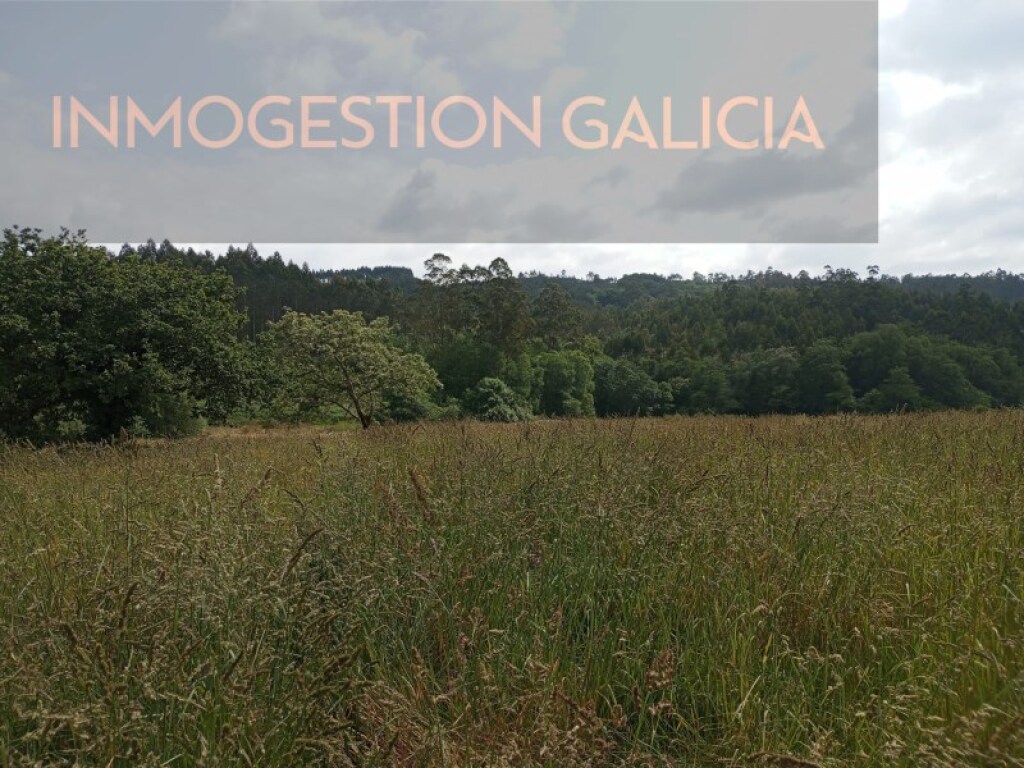 Imagen 3 de Suelo rústico en Venta en A Laracha La Coruña