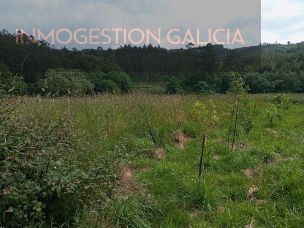 Imagen 4 de Suelo rústico en Venta en A Laracha La Coruña